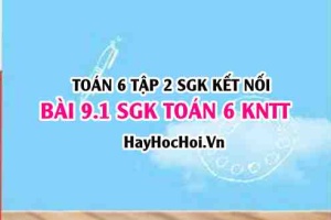 Bài 9.1 SGK Toán 6 tập 2 Kết nối tri thức: Phân loại dữ liệu và số liệu